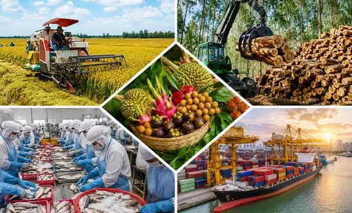 Xuất khẩu nông, lâm, thủy sản đạt gần 49,3 tỷ USD sau 8 tháng
