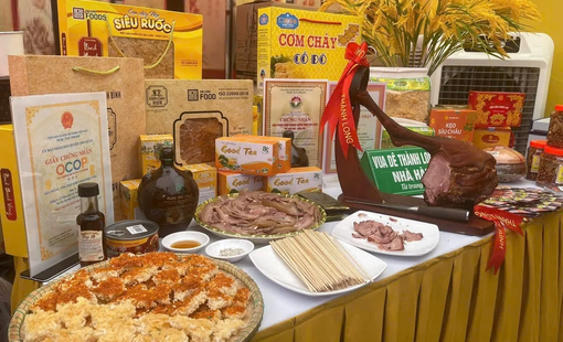 Chuyển đổi xanh, số hóa để sản phẩm công nghiệp nông thôn vươn ra thị trường quốc tế