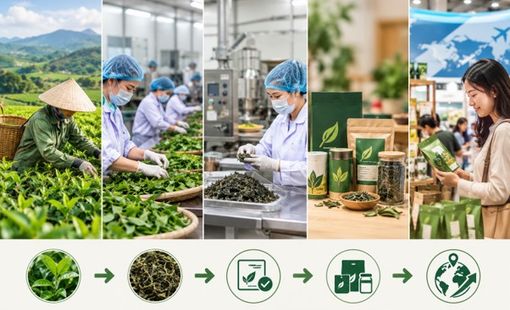 Từ nông sản đến thương hiệu: Một sản phẩm “đổi tên” bao lần?