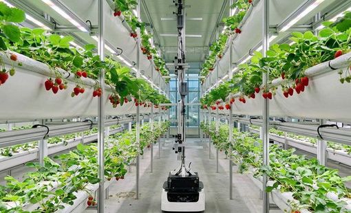 Xã Hồng Sơn, Hà Nội đưa công nghệ vào nông nghiệp, mở rộng không gian trải nghiệm xanh