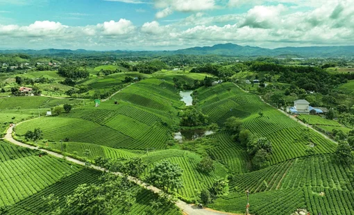 HTX ở Thái Nguyên kết hợp sản xuất xanh với chuyển đổi số, nâng giá trị nông sản