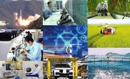 Triển khai Phong trào thi đua “Đổi mới sáng tạo, phát triển khoa học, công nghệ, chuyển đổi số, chuyển đổi xanh”