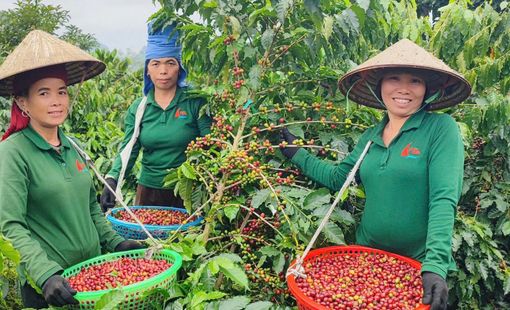 Nghị quyết 79 qua góc nhìn của doanh nghiệp tư nhân: Đồng hành để vươn xa