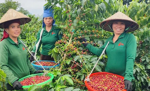 Nghị quyết 79 qua góc nhìn của doanh nghiệp tư nhân: Đồng hành để vươn xa