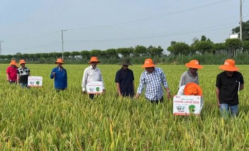 Đổi mới sáng tạo kích hoạt nông nghiệp bứt phá tại Cần Thơ