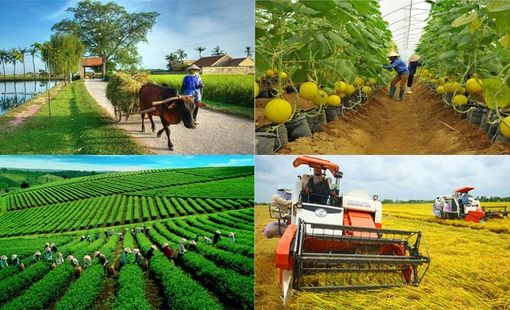 Thiếu lao động trẻ tại các cơ sở sản xuất nông thôn