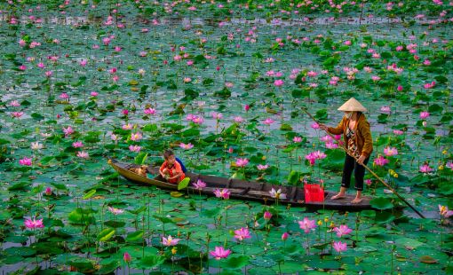 Đồng Tháp phát triển kinh tế nông thôn: Động lực từ công nghiệp chế biến và làng nghề