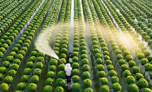 Công nghiệp nông thôn trong chiến lược kinh tế xanh