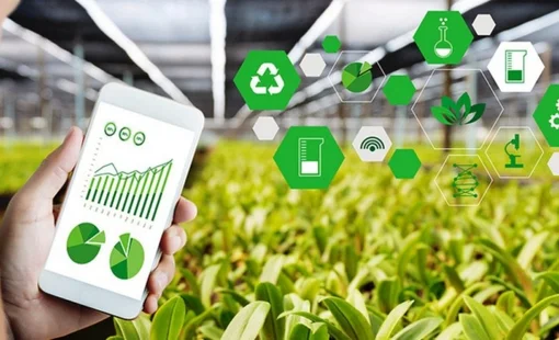 Chuyển đổi số trong công nghiệp nông thôn: Cơ hội hay thách thức?
