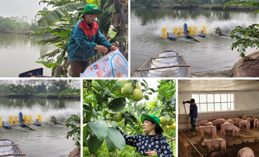 Phát triển công nghiệp nông thôn theo hướng xanh và kinh tế tuần hoàn
