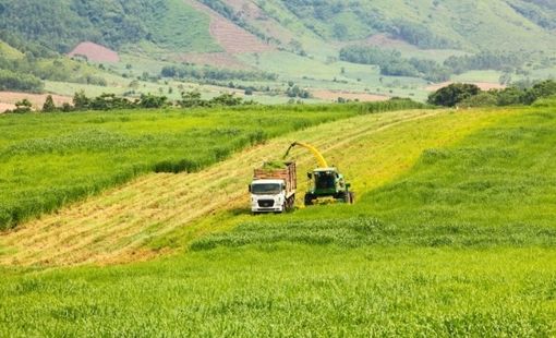 Hướng tới Net Zero: Chuyển đổi từ nông nghiệp đến năng lượng xanh