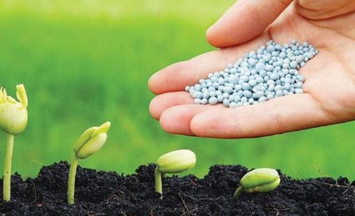 Thúc đẩy phát triển ngành phân bón nông thôn bằng đổi mới công nghệ