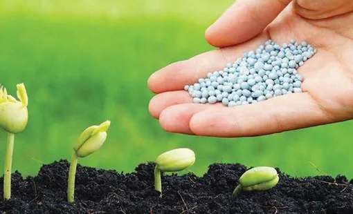 Thúc đẩy phát triển ngành phân bón nông thôn bằng đổi mới công nghệ