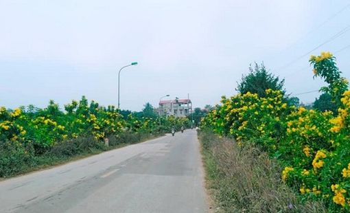 Hà Nội: Khởi sắc xây dựng nông thôn mới sau sáp nhập chính quyền 2 cấp