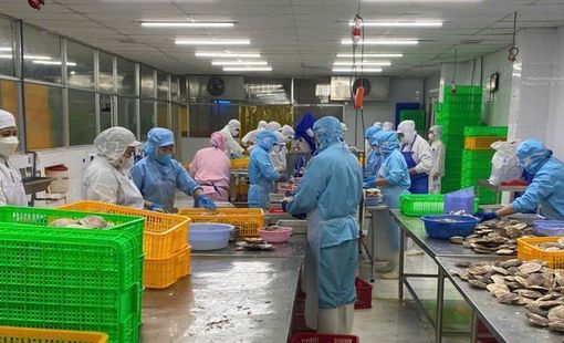 Cơ hội và thách thức cho nông sản Việt trước 'khoảng trống' tại thị trường EU