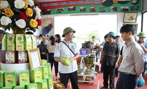 Huyện Thường Tín (TP Hà Nội) đạt chuẩn nông thôn mới nâng cao