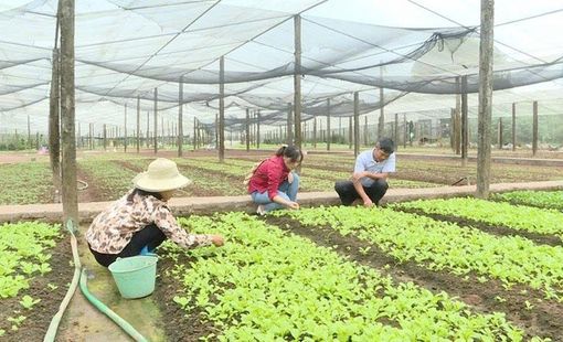Xây dựng nông thôn mới: Giữ gìn làng nghề, phát huy giá trị văn hóa truyền thống