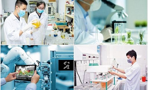 Ban hành khung hướng dẫn phát triển KHCN, đổi mới sáng tạo, chuyển đổi số
