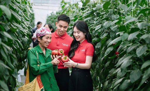 Agribank – Ngân hàng của nông nghiệp, nông thôn và khát vọng phát triển bền vững