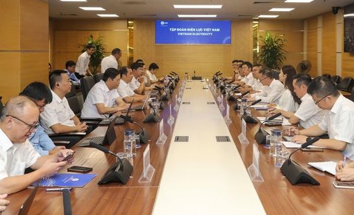 EVN và CSG-LMI mở rộng hợp tác năng lượng sạch