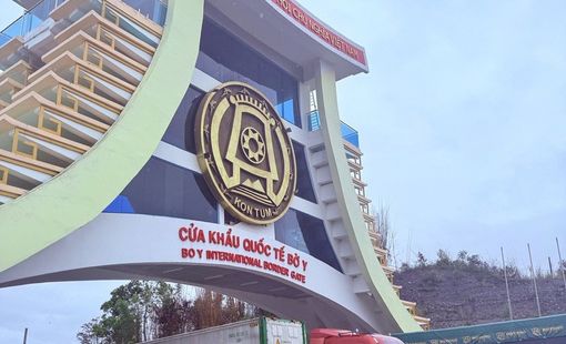 Xuất nhập khẩu tăng mạnh; Hải quan xử lý hơn 11.900 vụ vi phạm
