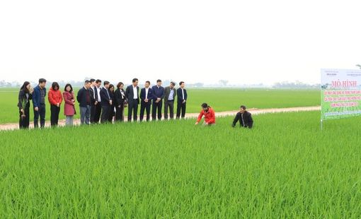 Hà Nội: 15 năm hành trình bứt phá xây dựng nông thôn mới
