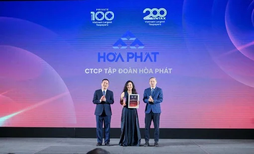 Hòa Phát vào TOP 4 doanh nghiệp tư nhân nộp ngân sách lớn nhất Việt Nam