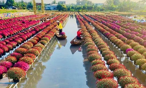 Festival Hoa-Kiểng Sa Đéc 2025: Bứt phá để khẳng định thương hiệu du lịch quốc tế