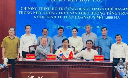 De Heus góp phần thúc đẩy ngành tôm Việt Nam phát triển xanh, bền vững