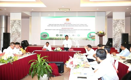Đề án 1 triệu ha lúa chất lượng cao: Cuộc cách mạng nông nghiệp cho ĐBSCL