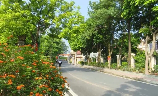Đan Phượng - Phát triển nông thôn mới kiểu mẫu gắn với lộ trình đô thị văn minh