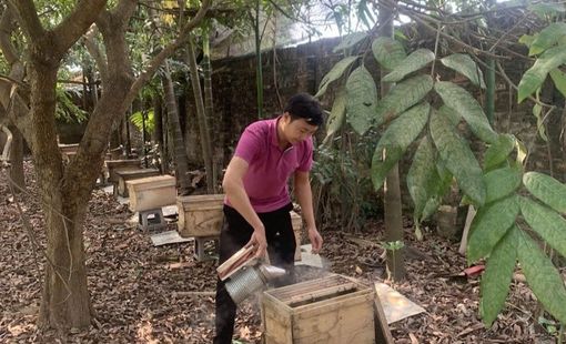 Khẳng định thương hiệu nông sản sạch từ sản phẩm OCOP
