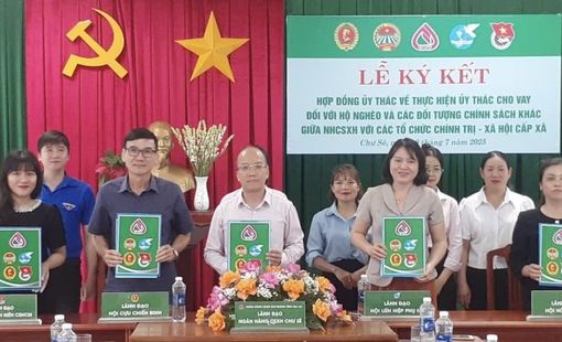 Tín dụng chính sách góp lực giảm nghèo, xây dựng nông thôn mới trên cao nguyên Chư Sê