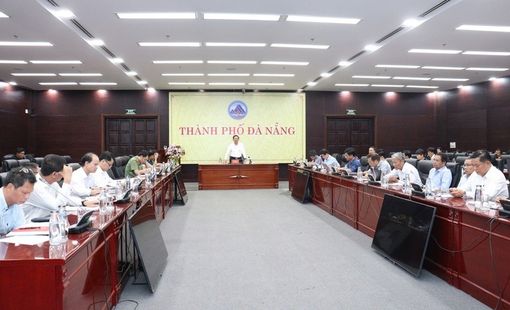 Đà Nẵng triển khai ứng phó bão Bualoi