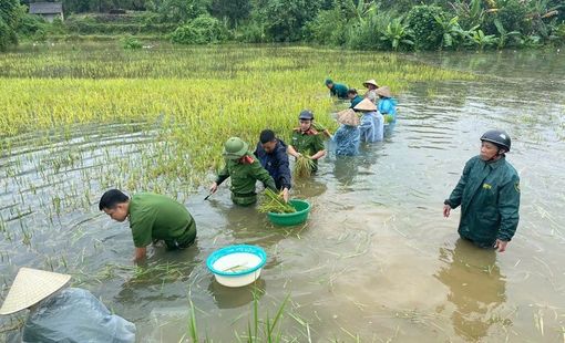 Thủ tướng yêu cầu phải thần tốc hơn nữa, huy động tối đa lực lượng khắc phục nhanh nhất hậu quả bão, mưa lũ