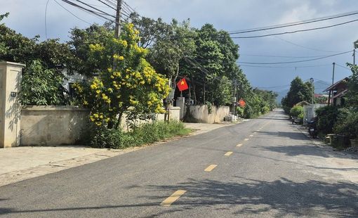 Nông thôn mới kiểu mẫu: Trái ngọt sau hành trình kiến tạo nông thôn mới