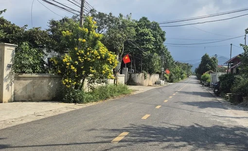Nông thôn mới kiểu mẫu: Trái ngọt sau hành trình kiến tạo nông thôn mới