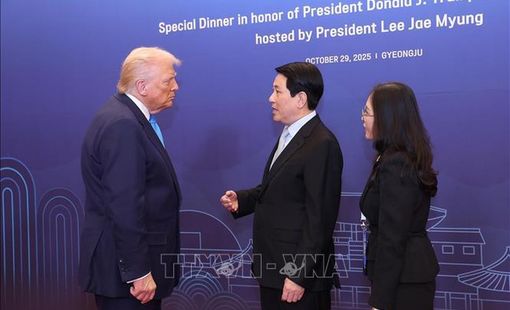 Chủ tịch nước Lương Cường gặp Tổng thống Hoa Kỳ Donald Trump