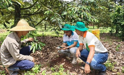 Phú Mỹ hợp tác cùng Enfarm: Bước tiến lớn trong chuyển đổi số nông nghiệp Việt Nam