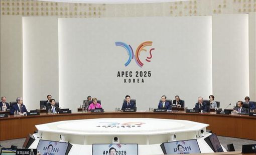 Dự phiên thứ nhất Hội nghị Cấp cao APEC: Chủ tịch nước Lương Cường đề xuất 3 trọng tâm