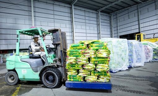 PVCFC khẩn cấp hỗ trợ vật tư chống lũ tại Đà Nẵng và Đắk Lắk