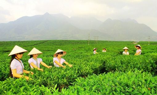 Sắp diễn ra Ngày hội sản phẩm vùng đồng bào dân tộc thiểu số và miền núi phía bắc