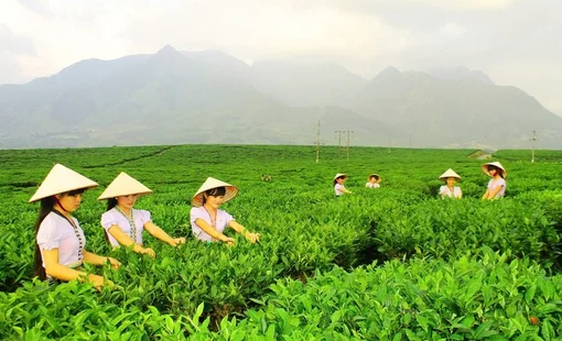 Sắp diễn ra Ngày hội sản phẩm vùng đồng bào dân tộc thiểu số và miền núi phía bắc