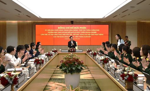 Phó Thủ tướng Hồ Đức Phớc làm việc với Tập đoàn Viettel
