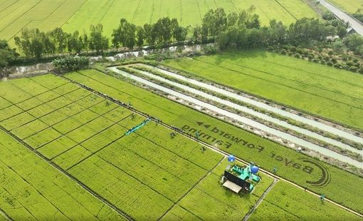 Ngành Trồng trọt bước vào giai đoạn phát triển xanh