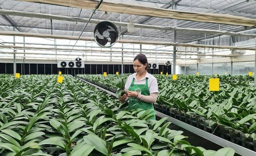 Kiến tạo nông thôn mới: Bứt phá từ nông nghiệp công nghệ cao và chuyển đổi số