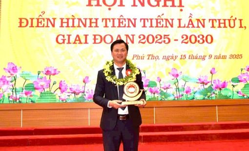 Hợp tác xã Nấm Tam Đảo: Điểm sáng kinh tế nông nghiệp vùng Tam Đảo