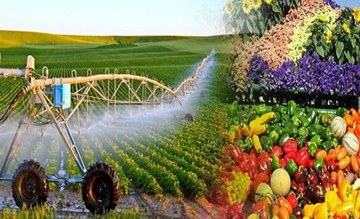 Sửa Luật Thuế GTGT: Khơi thông hoàn thuế, giảm áp lực vốn cho nông nghiệp và xuất khẩu
