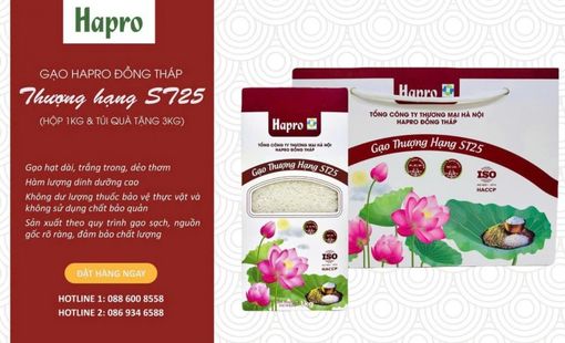 Gạo Hapro Thượng hạng ST25 đạt Top 2 “Hàng Việt Nam được người tiêu dùng yêu thích” năm 2025