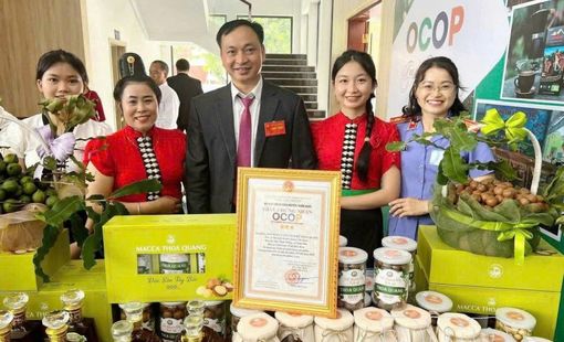 Khai thác lợi thế, phát triển sản phẩm OCOP gắn với xây dựng thương hiệu nông sản tại Điện Biên